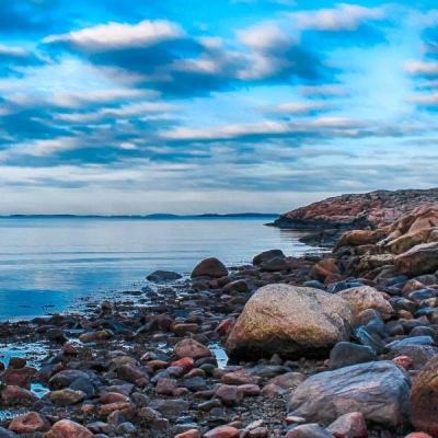 大手笔分红公司来了！这5家突破百亿，最高超300亿元